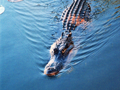 Everglades National Park