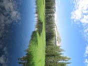 Wrights Lake Meadow, Eldorado National Forrest