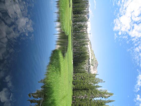 Wrights Lake Meadow, Eldorado National Forrest