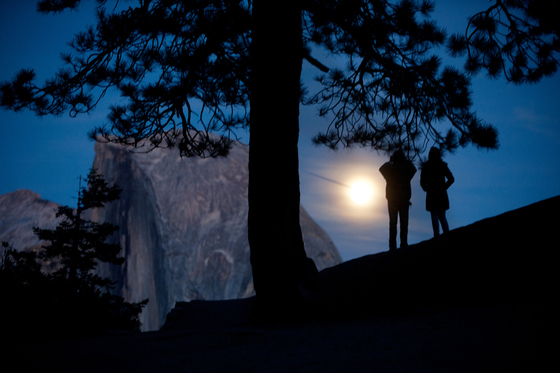 Yosemite National Park
