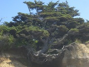 Olympic National Park