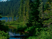 Mt Rainier National Park