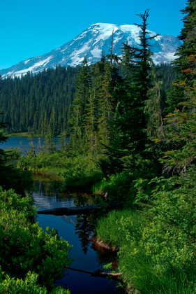 Mt Rainier National Park