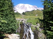 Mt. Rainier National Park