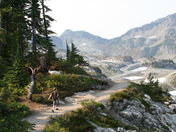 Mt Baker National Forest