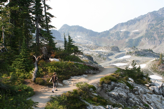 Mt Baker National Forest