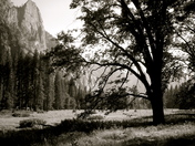Yosemite
