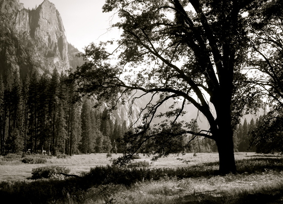 Yosemite