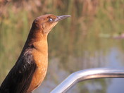 Everglades National Park