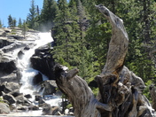El Dorado National Forest