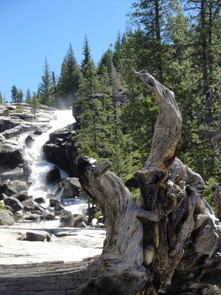 El Dorado National Forest