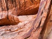 Paria Canyon-Vermillion Cliffs Wilderness