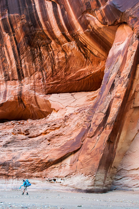 Paria Canyon-Vermillion Cliffs Wilderness