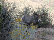 Colorado National Monument