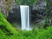 Mount Hood National Forest