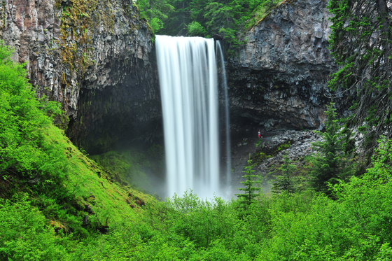 Mount Hood National Forest