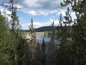 Yellowstone national park