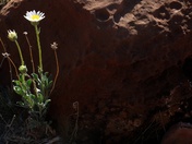 Arches National Park, Utah