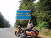 Redwood National Forrest