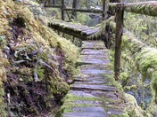 Tongass National Park