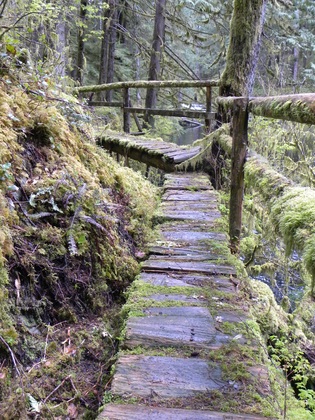 Tongass National Park