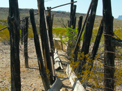 Big Bend National Park