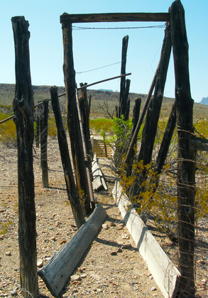 Big Bend National Park