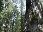 Yosemite National Park