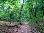 Sleeping Bear Dunes National Shoreline