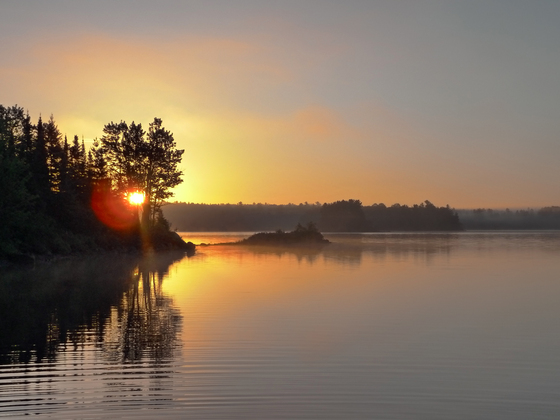 BWCA