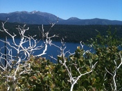 tahoe national forest