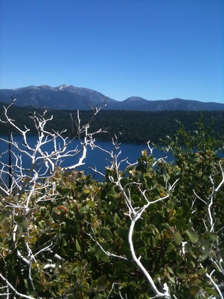 tahoe national forest