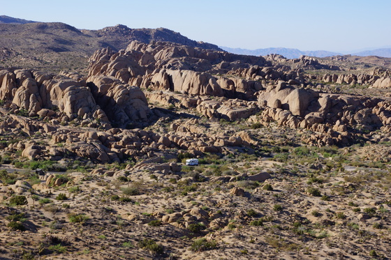 Joshua Tree