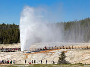 Yellowstone
