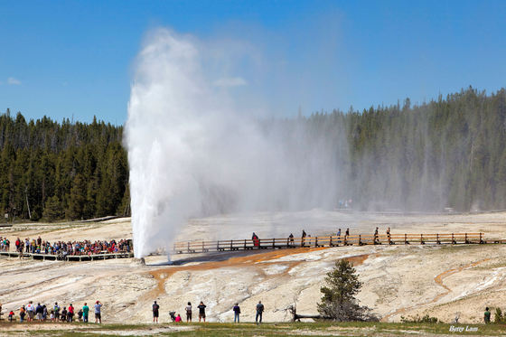 Yellowstone