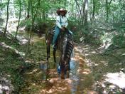 Sam Houston National Forest