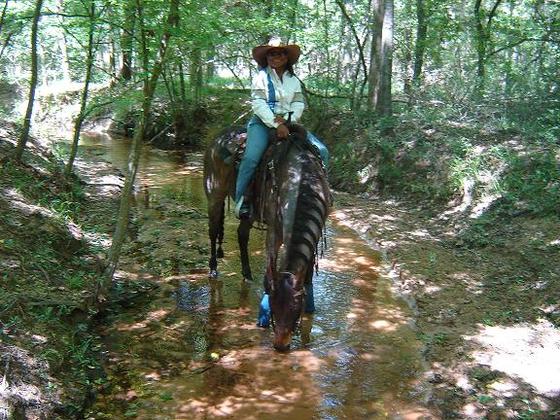 Sam Houston National Forest