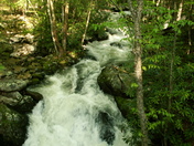 Smokey mountain national park
