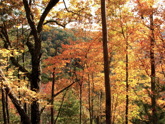 Smokey mountain national park