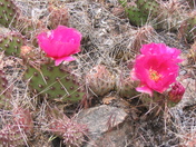 Colorado National Monument