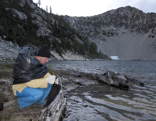 Wenatchee National Forest