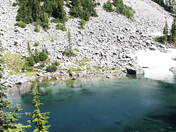 Mt Baker-Snowqualmia National Forest