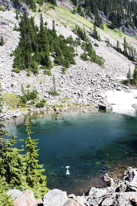 Mt Baker-Snowqualmia National Forest