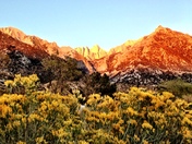 Lone Pine Campground