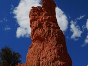 Dixie National Forest