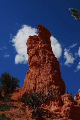Dixie National Forest