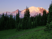 Mt Rainier National Park