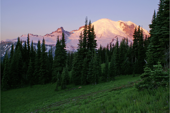 Mt Rainier National Park
