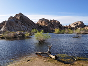 Joshua Tree National Park