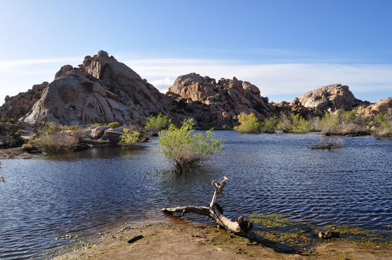 Joshua Tree National Park